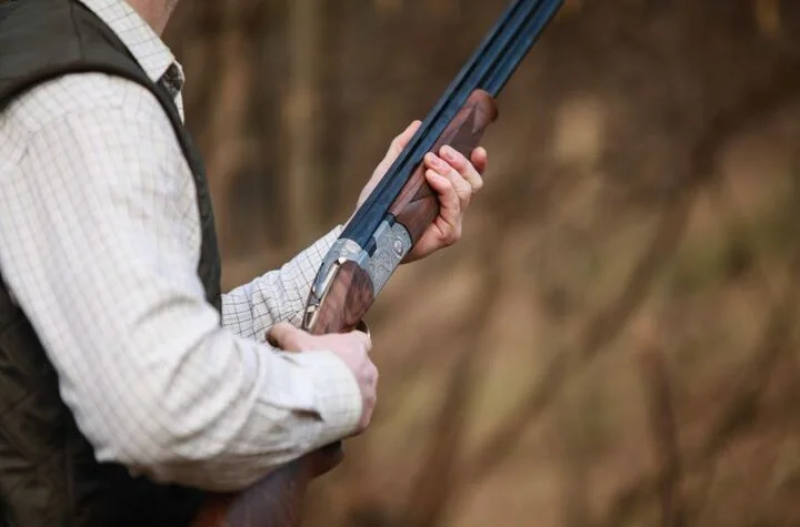 chasse pigeon (1) chasseur avec fusil